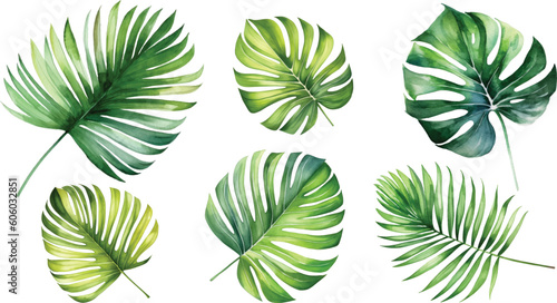 Fotografiet Set monstera leave watercolor painting vector for cards, wedding invitation and birthday cards