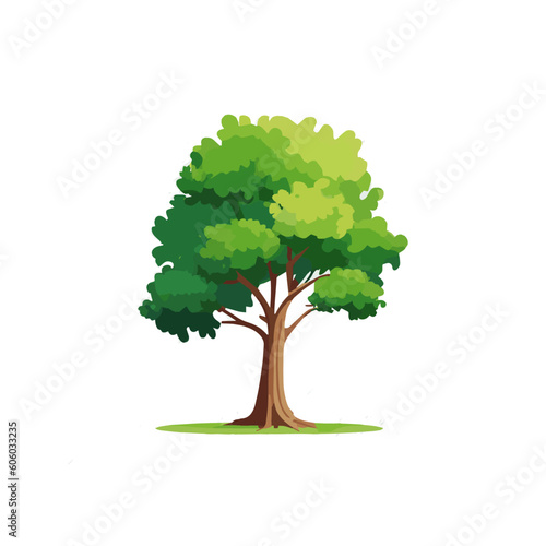 Set of flat stylized trees. Natural vector illustration. Side view