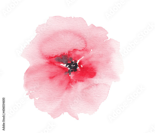 Foto Red flower Botanical loose watercolor illustration Hand painted hand drawn Flowe