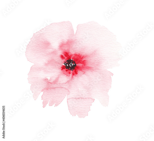Red flower Botanical loose watercolor illustration Hand painted hand drawn Flowers and leaves Floral Png clipart Sublimation Plant graphic element