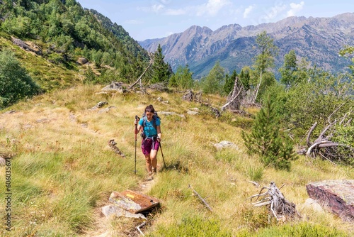 Billede på lærred mountains of the catalan pyrenees