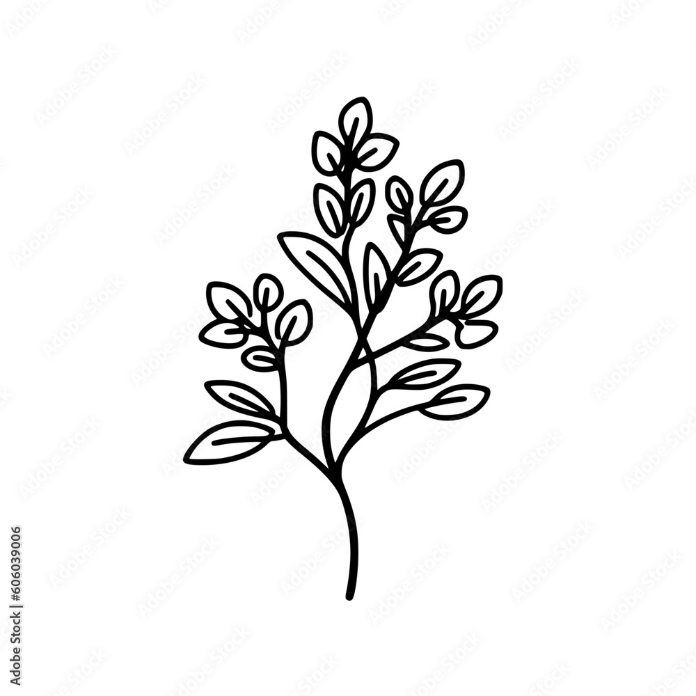 Twig vector illustration isolated on transparent background Twig vector illustration isolated on transparent background