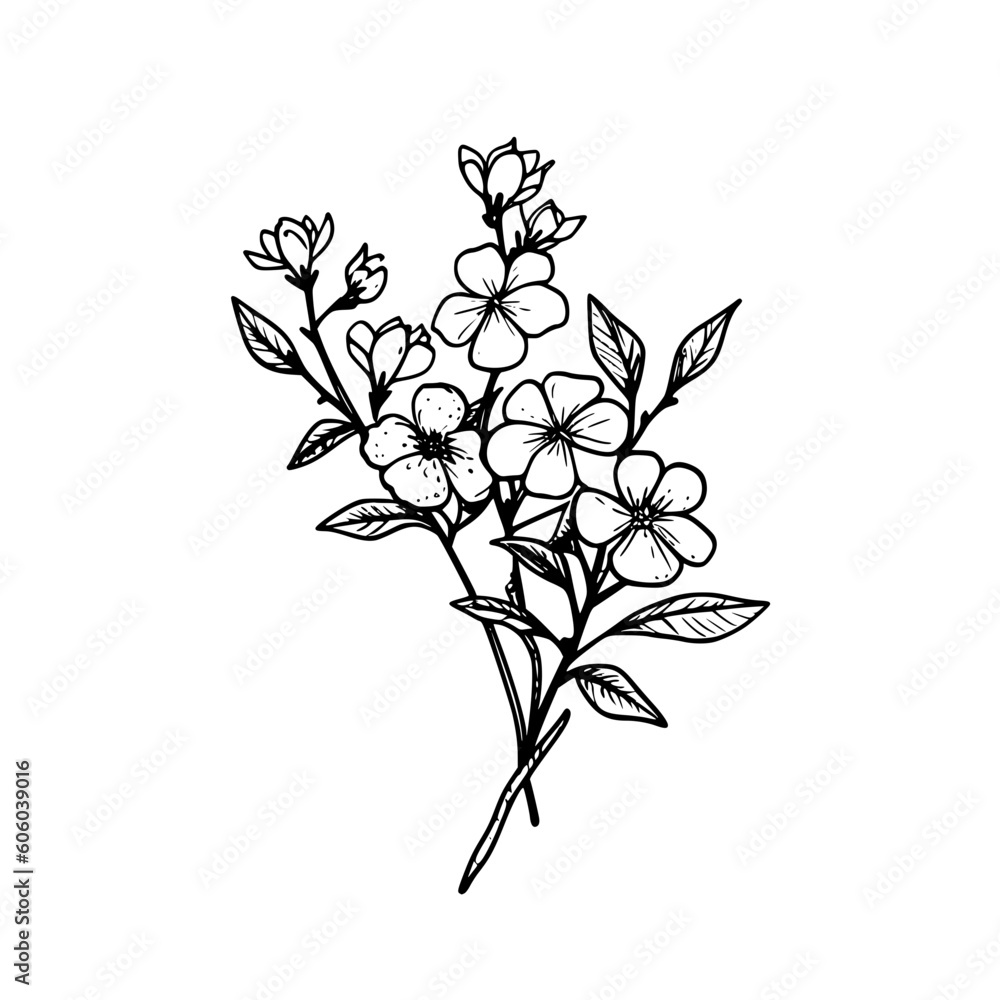 Twig vector illustration isolated on transparent background Twig vector illustration isolated on transparent background