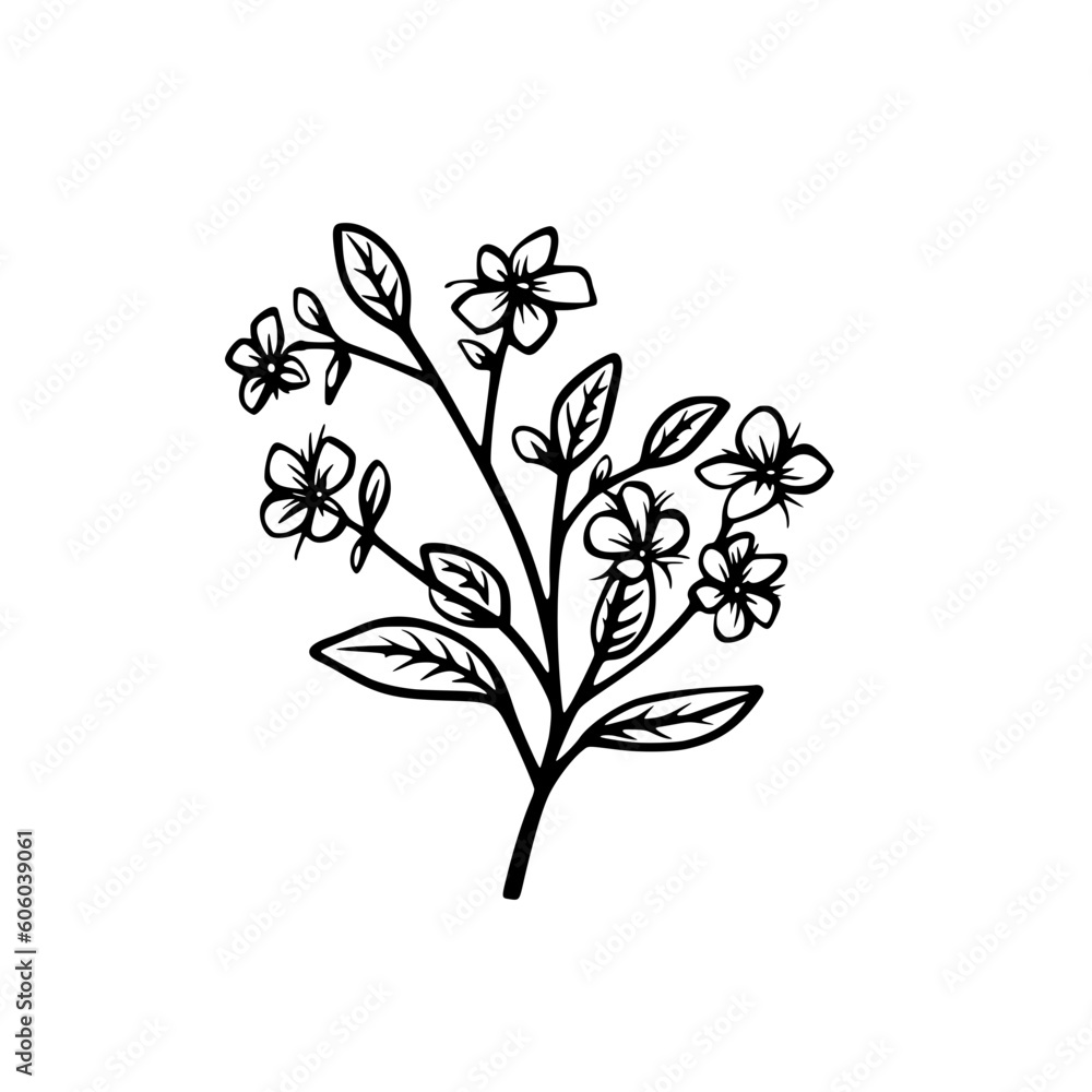Twig vector illustration isolated on transparent background Twig vector illustration isolated on transparent background