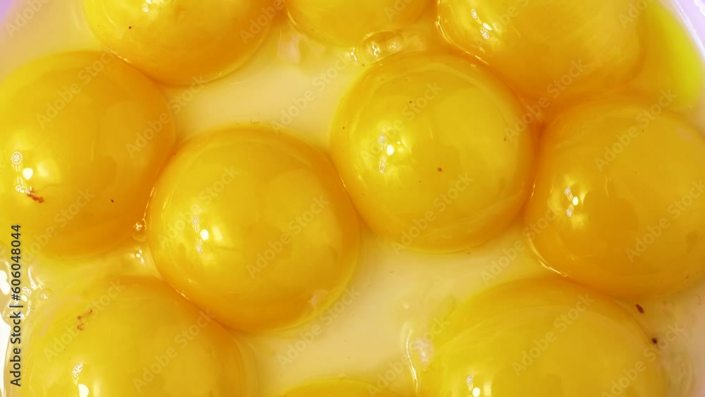 Fresh raw yellow egg yolks circle rotation close up top view Fresh raw yellow egg yolks circle rotation close up top view