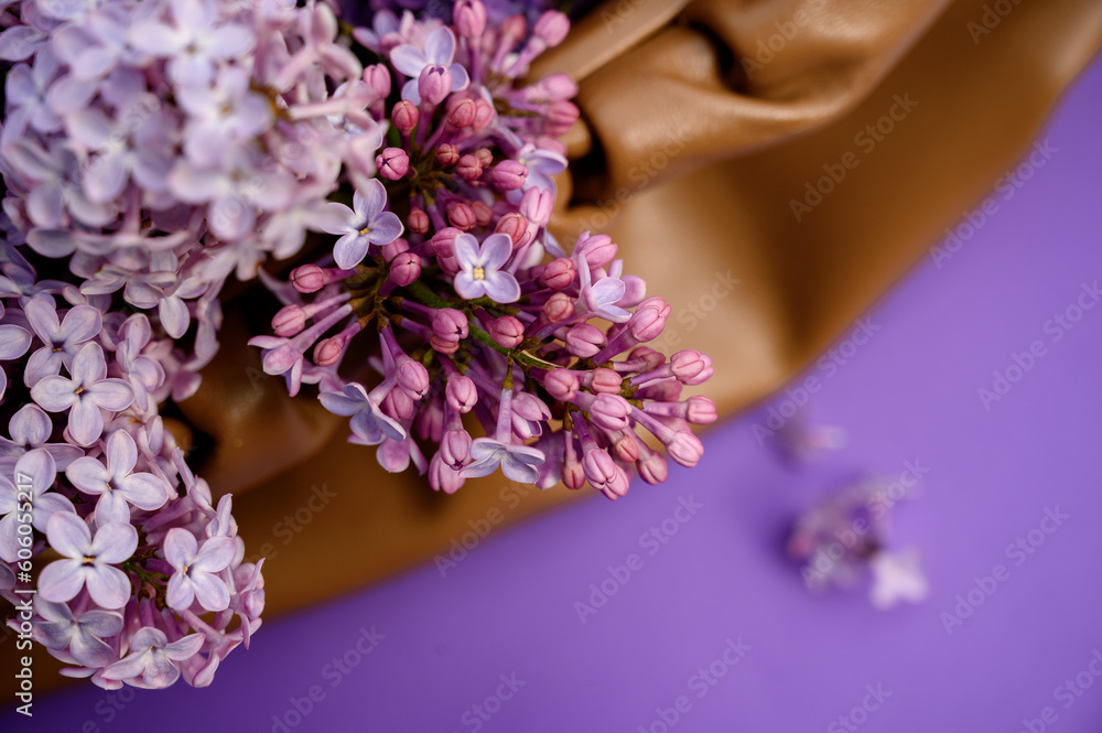 Bouquet of lilacs on a purple background. Lilac, purple background with lilac. Spring season flower concept. aroma of freshness, harmony of nature Bouquet of lilacs on a purple background. Lilac, purple background with lilac. Spring season flower concept. aroma of freshness, harmony of nature