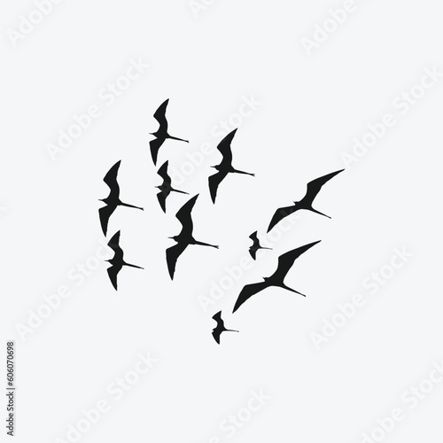 Silhouettes of birds isolated