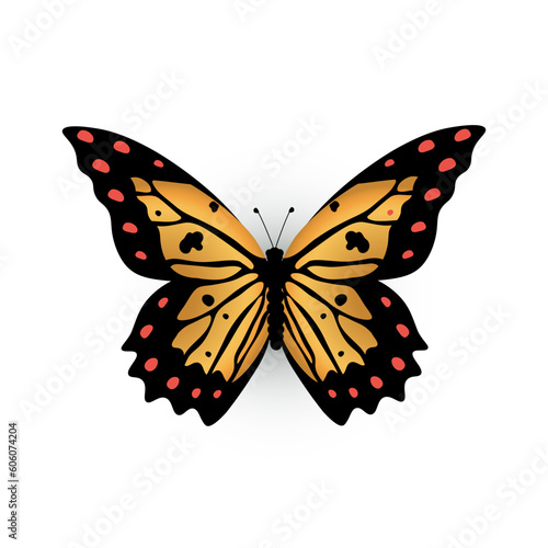 Butterfly with yellow and black pattern of wings vector illustration. Cartoon isolated sitting insect of spring or summer nature, cute tropical butterfly for kids scrapbook, decoration element © backup_studio