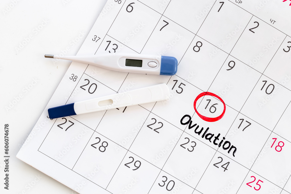Female ovulation day on calendar with pregnancy test Female ovulation day on calendar with pregnancy test