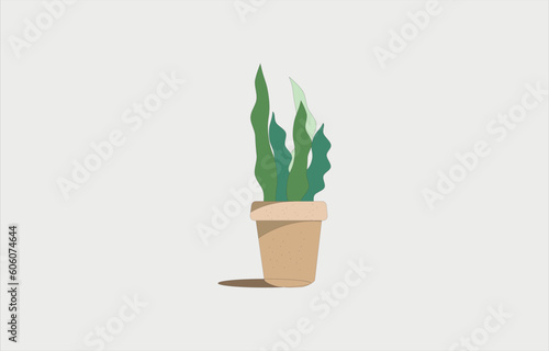 plant in pot
