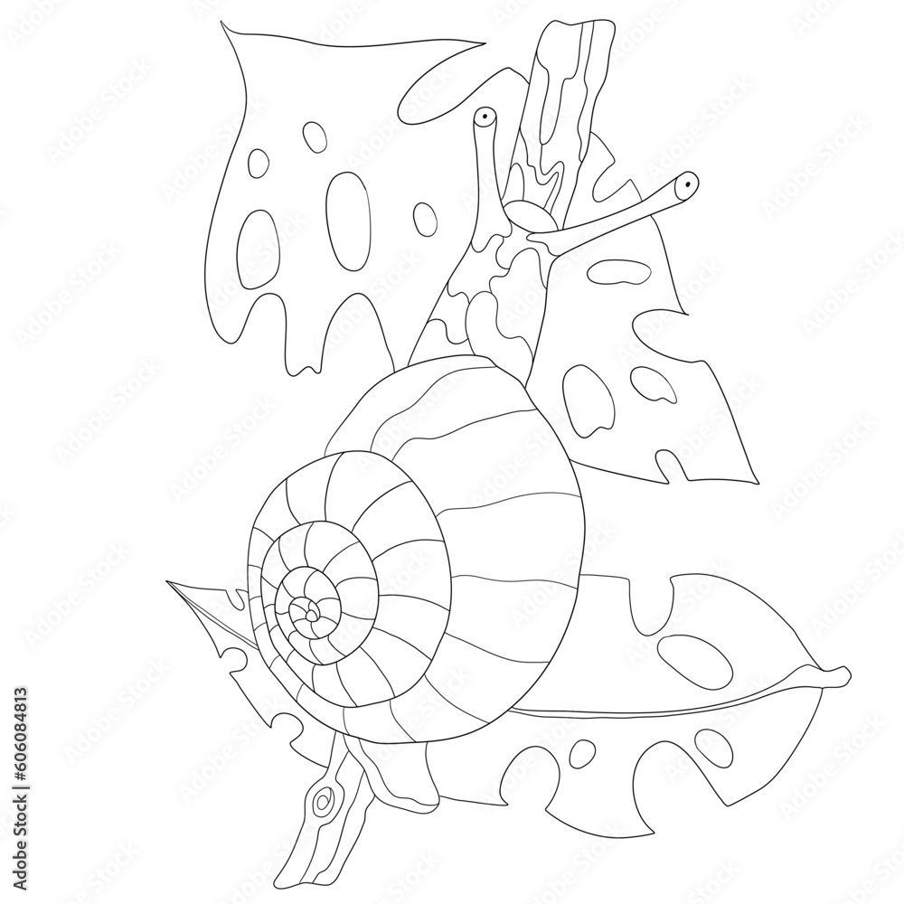 children's coloring snail on the leaves