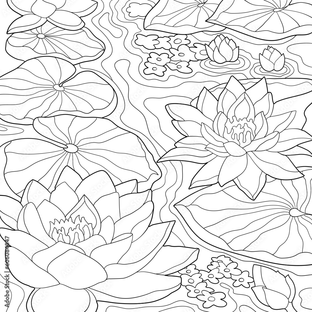 water lilies in the form of a coloring book and large flowers