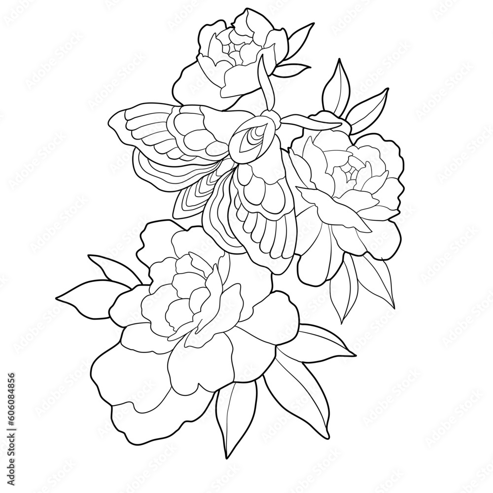 coloring book with a moth on peonies coloring book with a moth on peonies