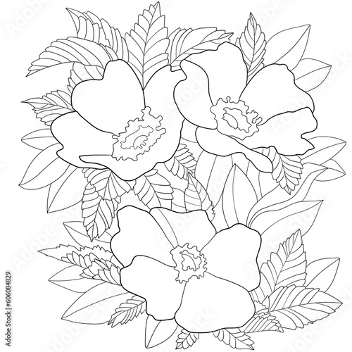 coloring page in the idea of       poppies in leaves