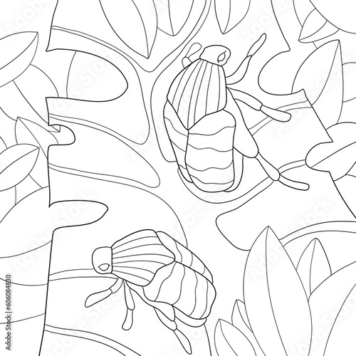 two beetles sit on a leaf coloring book