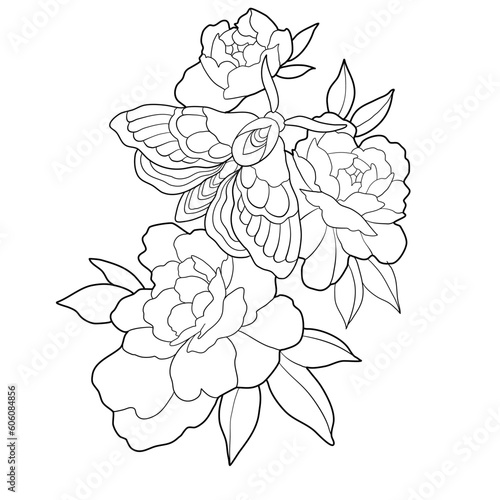 coloring book with a moth on peonies