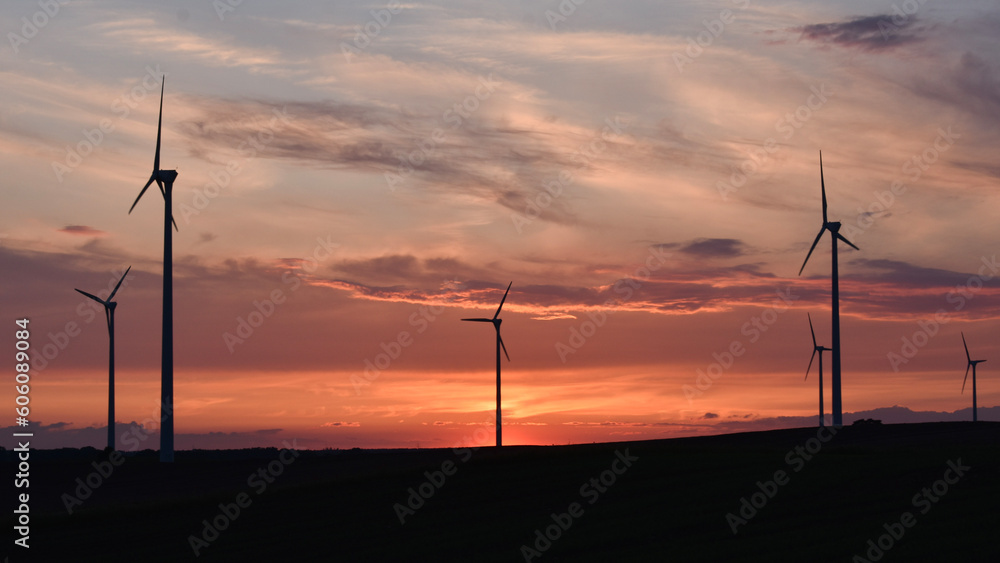 Obraz premium Windmills in the evening sunset