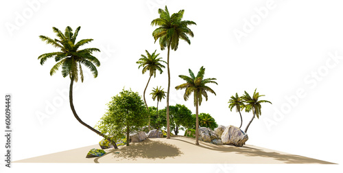 Tropical tree with beach or oasis, clipping path inside, 3d illustration rendering photo