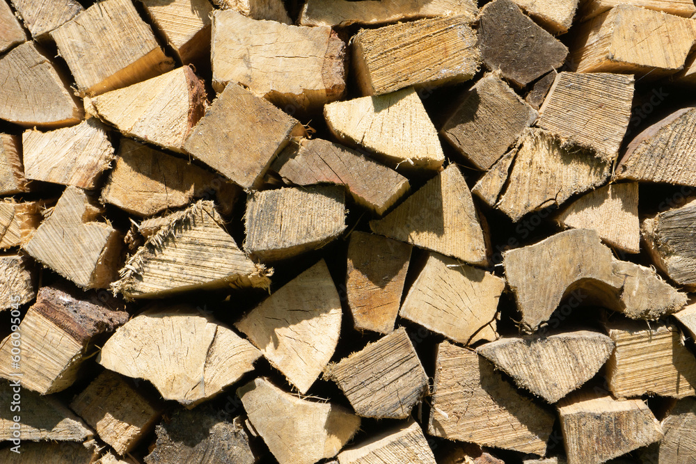 Tree cut cross section texture. Wood industry background. Chopped wood texture. Stacked tree logs pattern. Pile of raw tree wood in forest. Firewood background. Tree cut cross section texture. Wood industry background. Chopped wood texture. Stacked tree logs pattern. Pile of raw tree wood in forest. Firewood background.