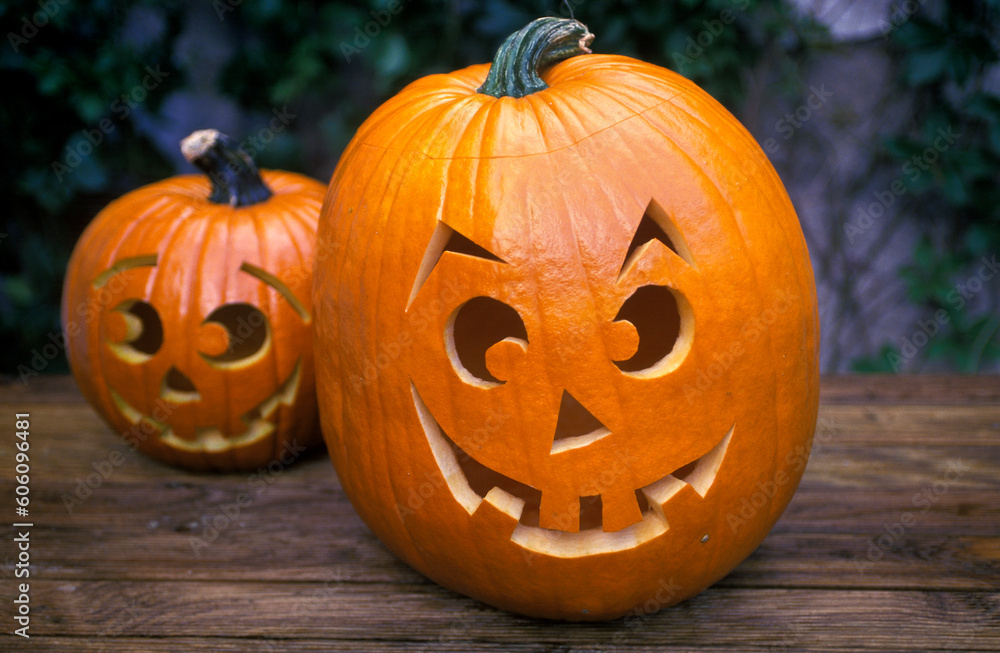 Pair of smiling Halloween pumpkins in the garden close up Pair of smiling Halloween pumpkins in the garden close up