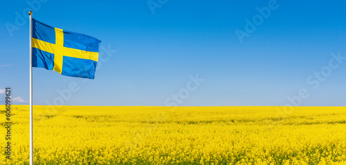 Schwedische Flagge vor einem gelben Rapsfeld und blauem Himmel