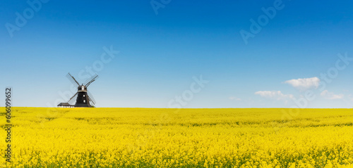 Schwedische Windmühle vor einem gelben Rapsfeld und blauem Himmel