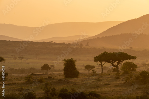 Iconic dusk orange sunset scene in the Masaai Mara reserve in Kenya Africa. Dusty scene