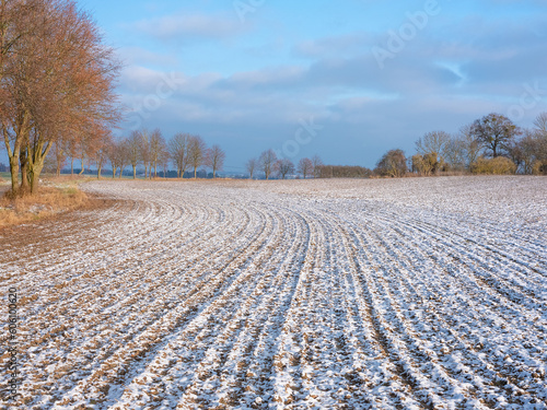 The melting of the snow on the fields in early spring. White nature background