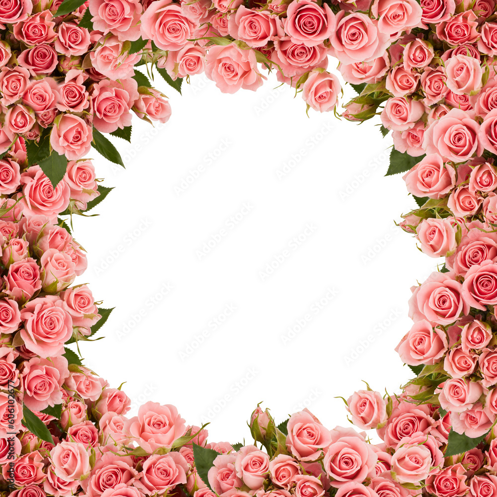 beautiful colorful rose flower frame looking like a tunnel of flowers with cut out isolated on transparent background