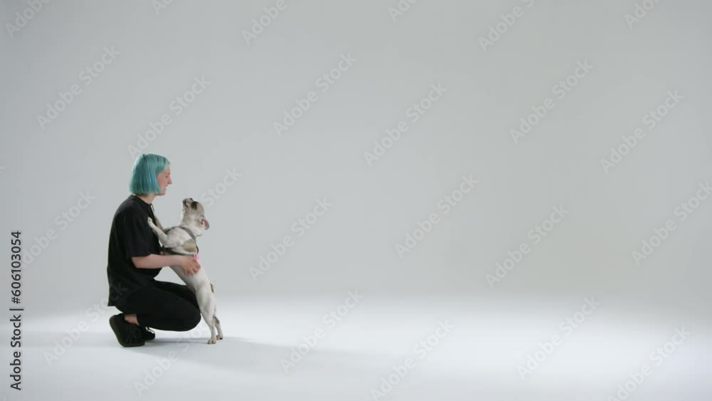 French bulldog is pleased and hugs with young female master. The woman praises the pet for successful performance of command. The dog licks face of master. High quality 4k footage French bulldog is pleased and hugs with young female master. The woman praises the pet for successful performance of command. The dog licks face of master. High quality 4k footage