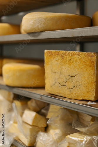 Heads of cheese on wooden shelves in cheese ripening warehouse Concept of production of delicious cheeses