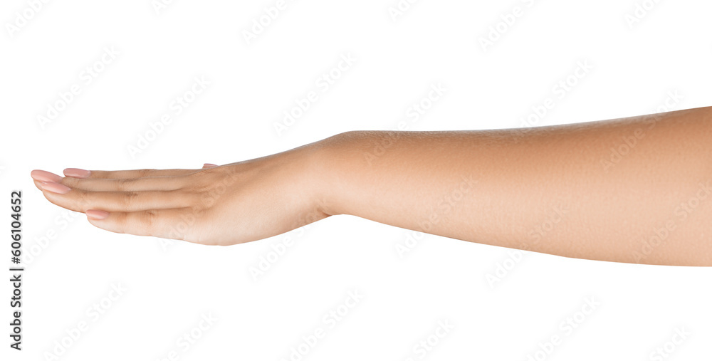 Beautifully hand holding something, concept for tech or social media-related content. Well-manicured hand holding. Nature or gardening-related promotions concept. Beautifully hand holding something, concept for tech or social media-related content. Well-manicured hand holding. Nature or gardening-related promotions concept.