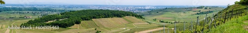 La colline du Dorfbourg et ses traces du passé : L'ancienne carrière du Florimont se fond dans la végétation boisée, CeA, Alsace, Grand Est, France
