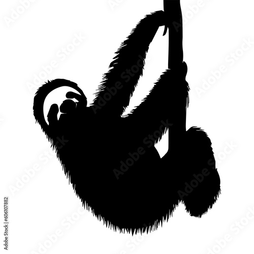 Sloth on the branch silhouette isolated on white background. Vector illustration
