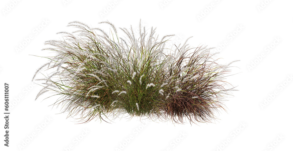 Grass with colorful flowers on transparent background Grass with colorful flowers on transparent background