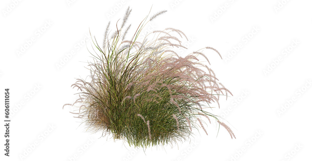 Grass with colorful flowers on transparent background