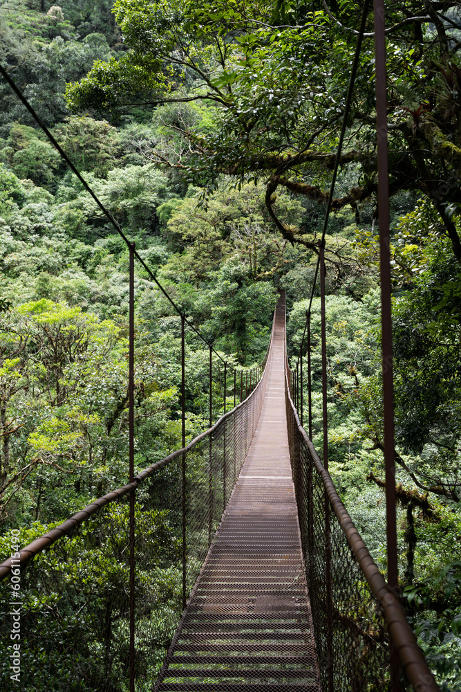 Fototapeta premium Crossing suspension bridge deep inside rain forest in Panama