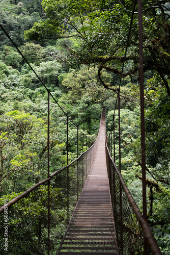 Crossing suspension bridge deep inside rain forest in Panama