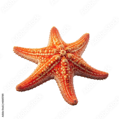 An isolated orange starfish on a black background in a transparent png format. Generative AI