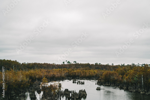 Cloudy Sky Over a Watery Swamp