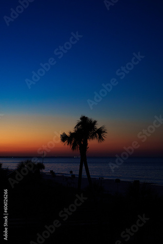 Orange and Blue Sunset Over Beach with Palm Trees 3
