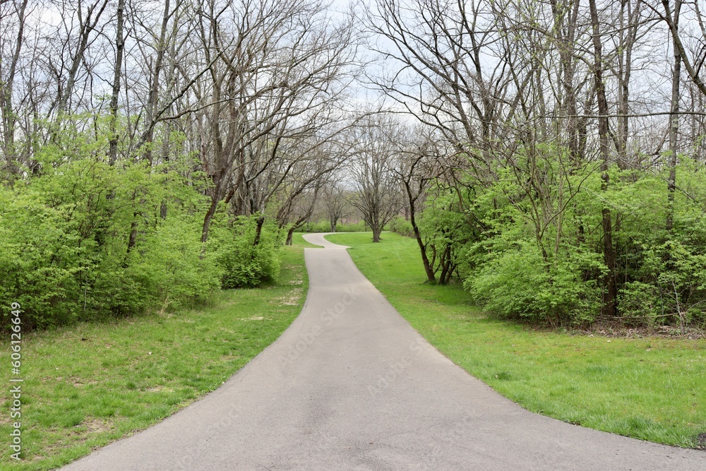 The long empty pathway in the park.