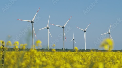 Windmills for renewable power generation in rapeseed field with blue sky