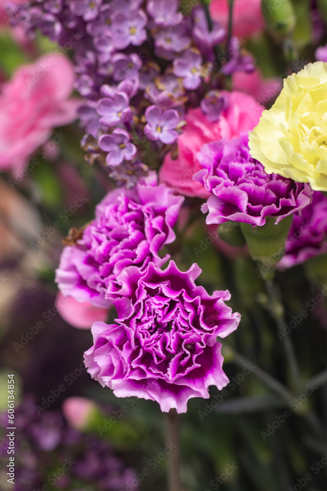 Purple bush carnation. Flower shop. Fresh bouquet. Master classes and floristry courses. Flower delivery.