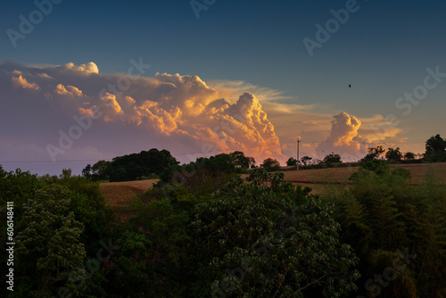 sunset over the field