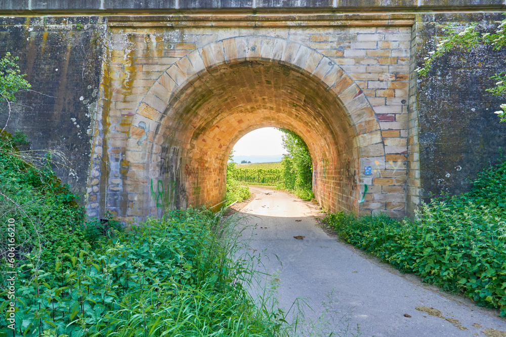 Obraz premium old stone arch in the park