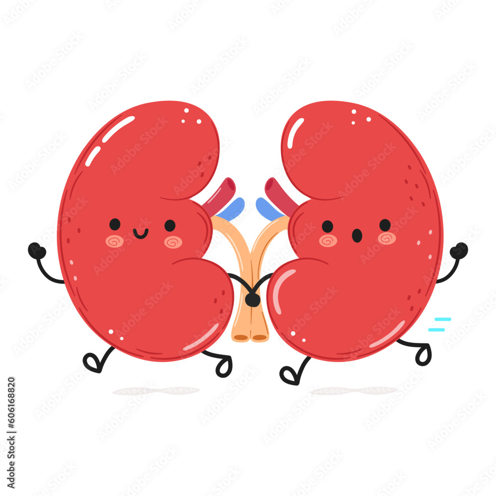 Cute funny running Kidneys. Vector hand drawn cartoon kawaii character illustration icon. Isolated on white background. Run Kidneys concept Cute funny running Kidneys. Vector hand drawn cartoon kawaii character illustration icon. Isolated on white background. Run Kidneys concept