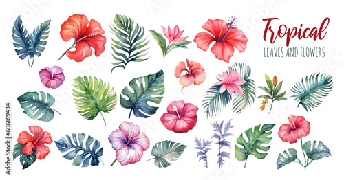 Hand drawn watercolor tropical plants set . Exotic palm leaves, jungle tree, tropic botany elements and flowers. Perfect for fabric design, webdesign, banner and backgrounds.