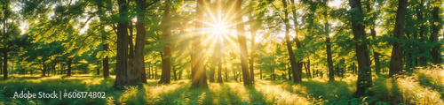 Sun shining through trees in the forest, park. Beautiful summer day in nature. Panoramic background, banner. Generative AI. ©  DigitalMerchant