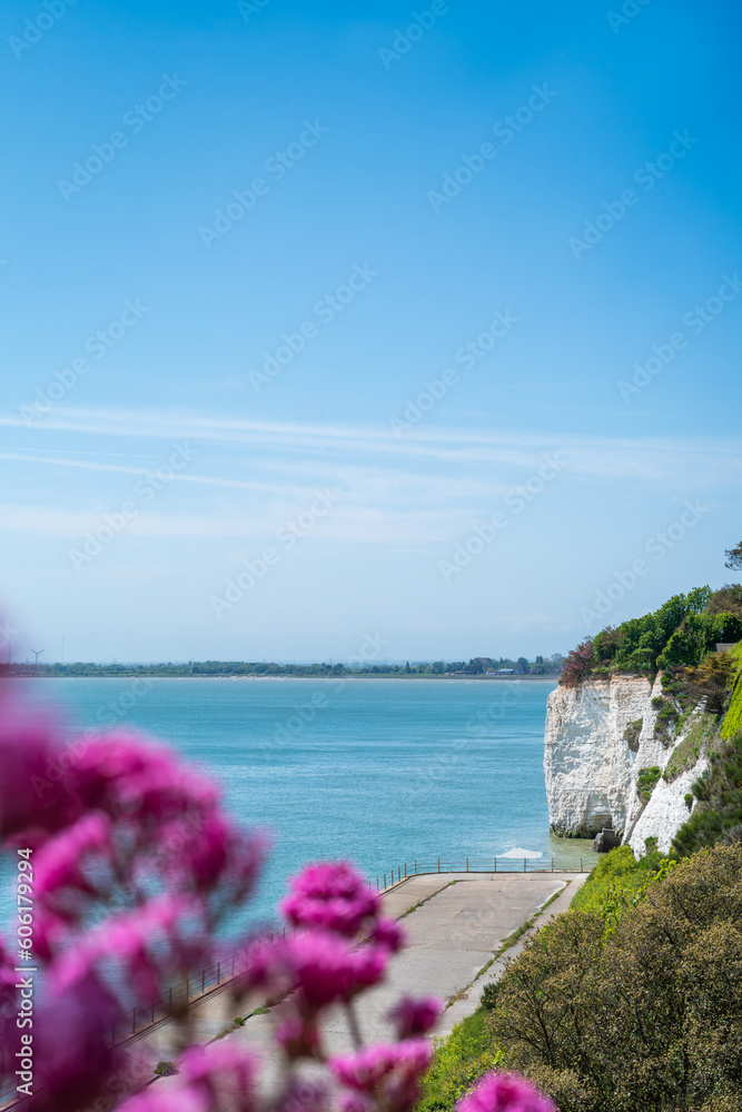 View of the white chalk cliffs towards Pegwell Bay from the west cliff Ramsgate. Red valerian flowers can be seen defocused in the foreground.